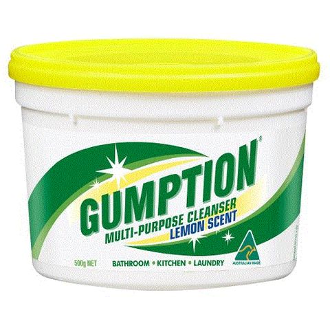 GUMPTION PASTE 500GM