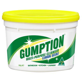 GUMPTION PASTE 500GM