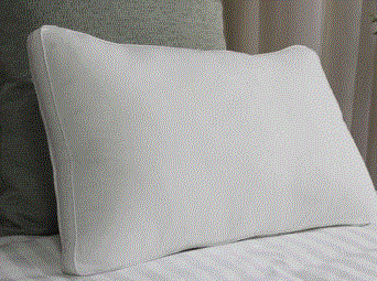 PILLOW TWIN PACK EASY SLEEP