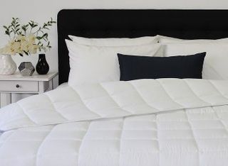 QUILT M/FIBRE SINGLE PLUSH