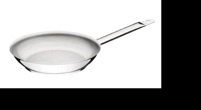 PROFESSIONAL FRYPAN SS 300MM