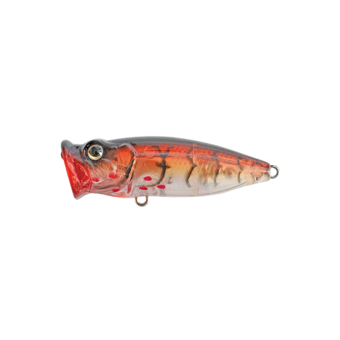 Strike Pro Rack Popper Lure 882