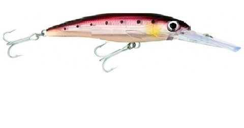 Rapala X-Rap Magnum 14cm Red Sardine