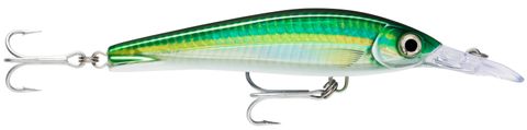 Rapala X-Rap Magnum Xtreme 16cm HD Bigeye Scad