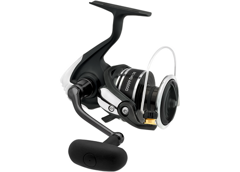 Daiwa 20 BG MQ 10000-H