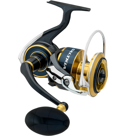 Daiwa 20 Saltiga