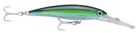 Rapala X-Rap Magnum 12cm Yellowfin Tuna