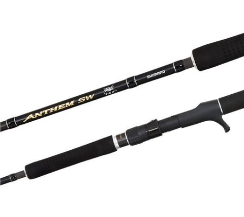 Shimano Anthem SW 6'9" 2pc OH 30-50lb