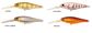 Berkley Pro-Tech BAZZ Bait 80mm Natural