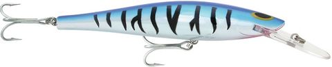 Williamson Speed Pro 160 Deep Blue Tiger