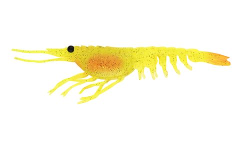 Switcher Shrimp 3.5" - CHUV - Chartreuse