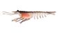 Nomad Switcher Shrimp