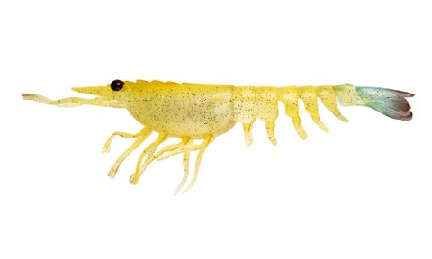 Switcher Shrimp 5" - FBANA - Fried Banan