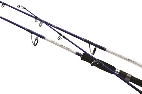 shimano whiting rods