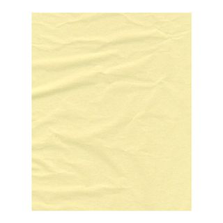 ECONOMY TISSUE FRENCH VANILLA