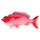 SNAPPER BOTTLE OPENER
