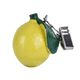 FUN FRUIT TABLECLOTH WEIGHTS (4PK)