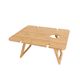 BAMBOO FOLDABLE TRAVEL PICNIC TABLE