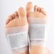 DETOX FOOT PATCHES