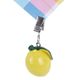 SET OF 4 TABLECLOTH WEIGHTS - FRUIT