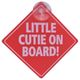 2PK BABY ON BOARD SIGN