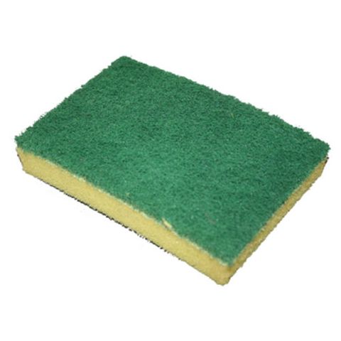 SPONGE SCOURER