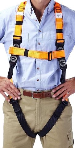 LINQ HARNESS - ESSENTIAL
