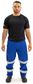 WORKWEAR BISON ARCGUARD TROUSER FR 11CAL 240GSM TAPED ROYAL (I-TNBCNFR)