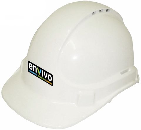 MSA V-GARD HARD HAT + LOGO