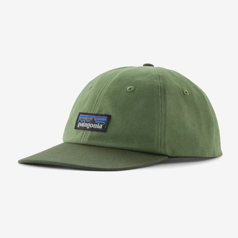 Patagonia P-6 Lable Trad Cap Terrain Gre