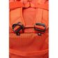 Patagonia Black Hole Duffel 40 L - Pollinator Orange