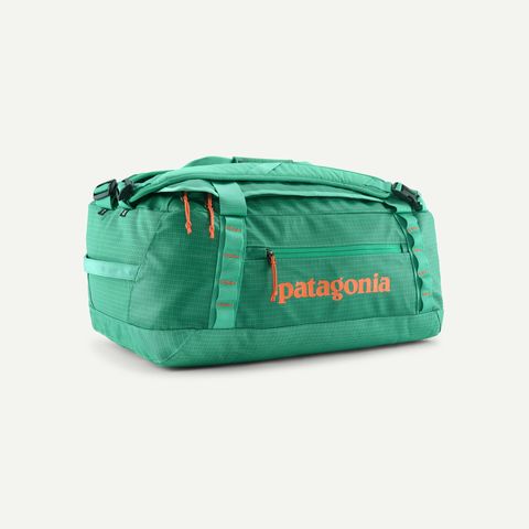 Patagonia Black Hole&reg; Duffel 40L - Aqua Stone