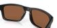 Oakley Holbrook Matt Blk/tung Pola