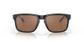 Oakley Holbrook Matt Blk/tung Pola
