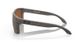 Oakley Holbrook Xl Wood/tung Pola