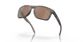 Oakley Holbrook Xl Wood/tung Pola