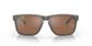 Oakley Holbrook Xl Wood/tung Pola