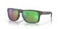 Oakley Holbrook Wood/sh Water Pola