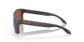 Oakley Holbrook Wood/sh Water Pola