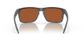 Oakley Holbrook Wood/sh Water Pola