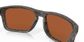 Oakley Holbrook Wood/sh Water Pola
