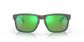 Oakley Holbrook Wood/sh Water Pola