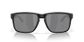 Oakley Holbrook Xxl Mat Blk/blk Polar