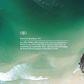 O&E APEX Fish/Short Travel Cover Wheel - 4 Board - Black