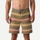 Patagonia Wavefarer Boardshorts 19" - Southern Swell: River Rock Green