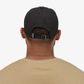 Patagonia P-6 Logo Trad Label Cap