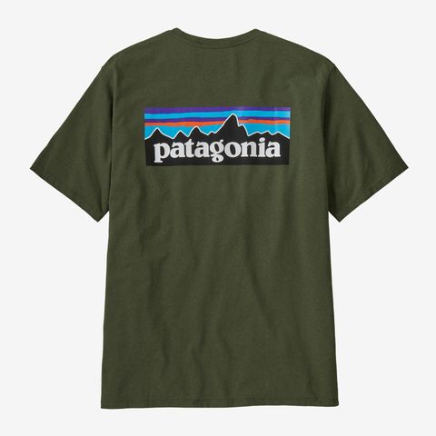 Patagonia  P-6 Logo Responsibili-Tee®  - Torrey Pine Green