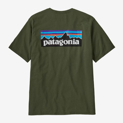 Patagonia  P-6 Logo Responsibili-Tee&reg;  - Torrey Pine Green
