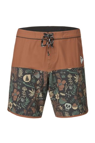 Picture Andy 17 Boardshorts - Cathay