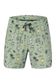 Picture Piau 15 Boardshorts - Aluha